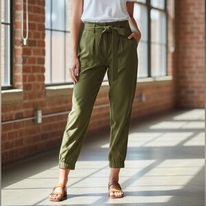 J.Crew Womens Waist Tie Moss Pleated Front 365 Crepe Cropped Pants Size 10